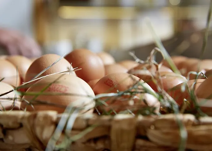 Auenhotel 4* Тукс