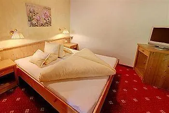 Hotel Auenhotel