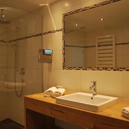 Hotel Auenhotel
